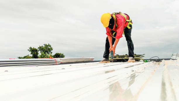 Best Roof Moss and Algae Removal  in Pembroke, GA